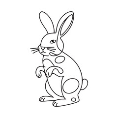 Rabbit vector line art illustration