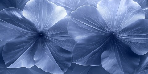 An abstract background featuring large, delicate petunia flowers in shades of white and indigo, with a soft, gentle light and ample copy space