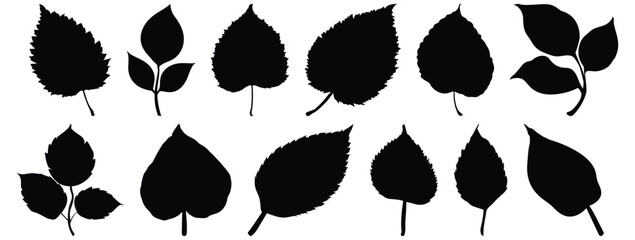 Leaf silhouette set vector design big pack of foliage illustration and icon