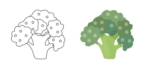 Broccoli hand drawn vector illustration and icon isolated on a white background. Outline and colored broccoli image. Editable stroke.	