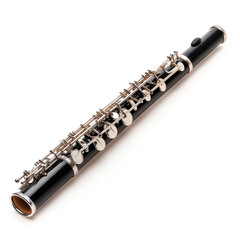 Fototapeta premium Oboe Isolated