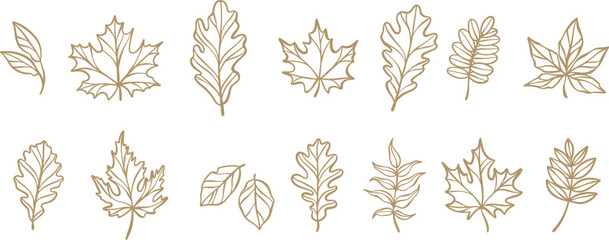 Autumn leaf line art illustration, hand drawn doodle leaves clip art set