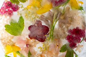 Colorful flowers in ice. Frozen flora in an ice cube.