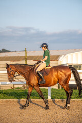 horse and woman rider at sunset in spain