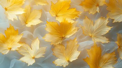 Fototapeta premium A cluster of semi-transparent yellow maple leaves with elegant gold-trimmed edges, featuring subtle crack patterns on each leaf's surface