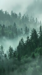 Forest foggy illustration poster background
