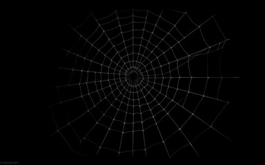 Fototapeta premium A white spiderweb on a black background evokes a sense of mystery and intrigue, perfect for Halloween or spooky themed designs. 