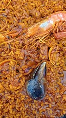 Close-up of Delicious Seafood Paella with Shrimp and Mussels,Nærbillede af lækker skaldyrspaella med rejer og muslinger,Nærbilde av deilig sjømatpaella med reker og blåskjell,搭配鮮蝦和貽貝,새우와 홍합 