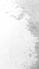 Minimalist White and Gray Design