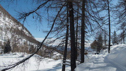 landscape during winter in divedro valley
