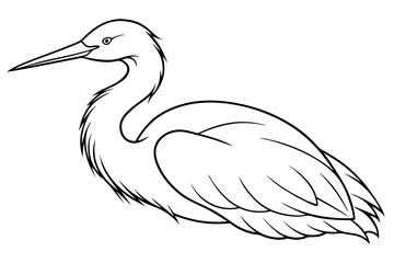  Egret bird lies icon line art vector art illustration