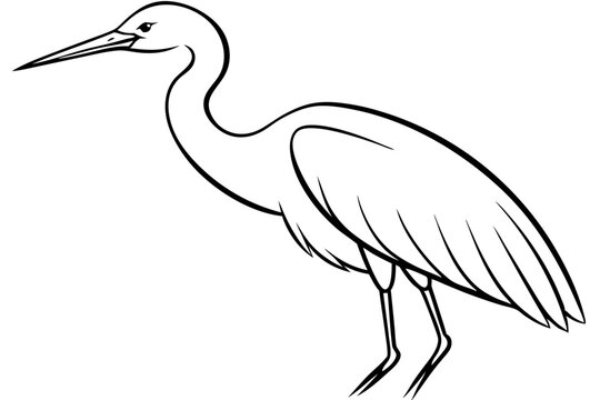 recommend clip art:  Egret bird lies icon line art vector art illustration