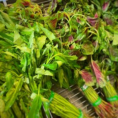 Obraz premium Bunch of freshly cut red spinach and water spinach on shelf in grocery store. 