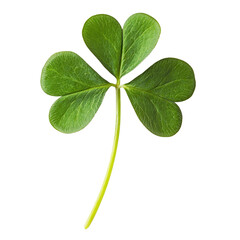 High-resolution image of a vibrant green four-leaf clover symbolizing luck and prosperity. Perfect for St. Patrick's Day celebrations and decorations.