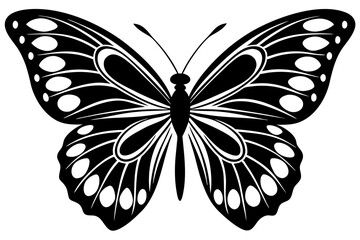butterfly illustration silhuette vector 