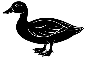 duck isolated silhuette vector illustration