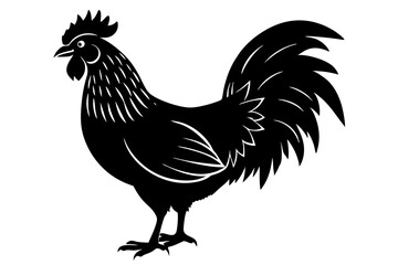 rooster  silhuette vector illustration