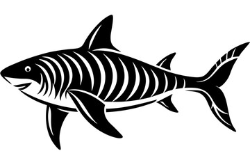 shark silhuette vector illustration
