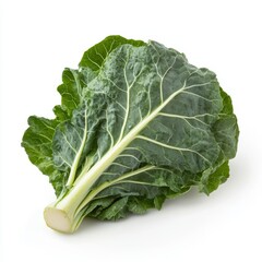 Fresh collard greens on a clean white background showcasing vibrant green leaves