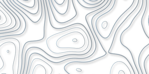 Understanding the Interaction Between Topography and Topology in the Creation of Vector Maps and Their Influence on the Design of Complex Background Layers