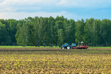 Fototapeta premium Farm machinery harvesting potatoes.