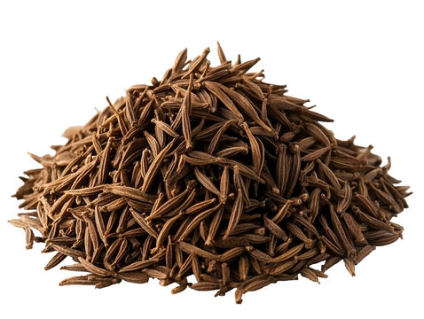 a pile of brown seeds