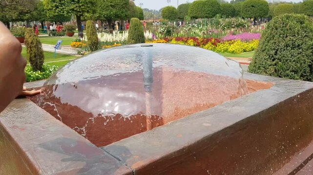 Visitors at Amrit Udyan, known as Mugal Garden, in Rashtrapati Bhavan