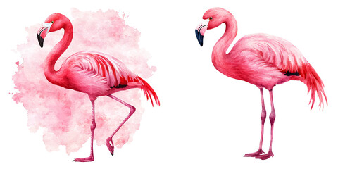 Obraz premium Two beautiful pink flamingos standing elegantly in a vibrant watercolor style, perfect for nature and wildlife themes.