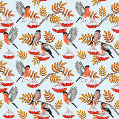 Winter time bullfinch birds with rowan tree twig, berries covered with snow seamless pattern. Watercolor illustration. Winter season bullfinch forest bird, red berries design for printing, wrapping