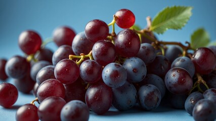 Fototapeta premium A bunch of red grapes on a blue background.