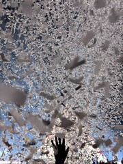 confetti at a concert