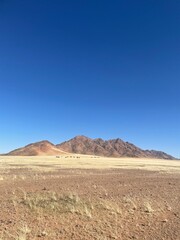 landscape in the desert
