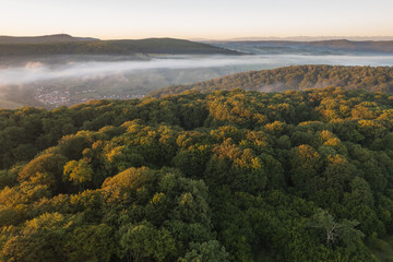 Obraz premium Aerial scene above the forest on Via Transilvanica. Foggy landscape above the green oak trees 
