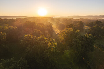 Aerial scene above the forest on Via Transilvanica. Foggy landscape above the green oak trees	
