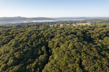 Aerial scene above the forest on Via Transilvanica. Foggy landscape above the green oak trees	

