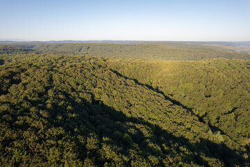 Aerial scene above the forest on Via Transilvanica. Foggy landscape above the green oak trees	

