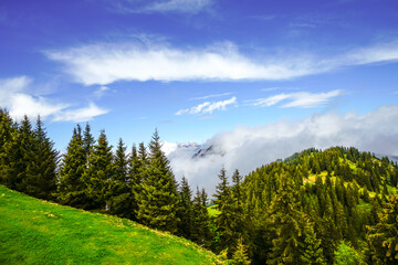 View from Schatzberg of the surrounding landscape. Idyllic nature in Wildsch&ouml;nau in the Kufstein district in Austria. Mountain landscape in the Kitzb&uuml;hel Alps in Tyrol.
