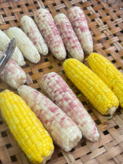 Fresh steamed corn with stainless steel tongs on bamboo weave tray for sale at street food market - Harvest of agriculture, Healthy or diet food and Freshness fruit concept