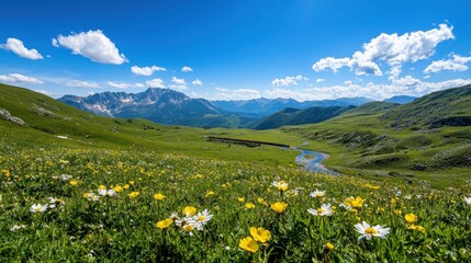 A breathtaking panorama of a mountain range with a winding river dotted with wildflowers and a distant train taken