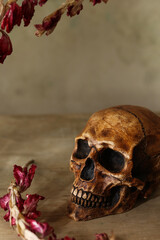 Still life with human skull and dry flowers on wooden background. Halloween concept
