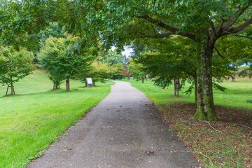 馬見丘陵公園の遊歩道