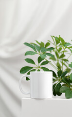 Mockup of a white tea cup or coffee mug on a white table minimalism background with a Schefflera plant. Subject template for your design, advertising with copy space
