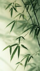 Fototapeta premium Tranquil bamboo shadows on a traditional wall.