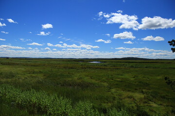 meadows with water and sky