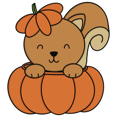 Squirrel in pumpkin 