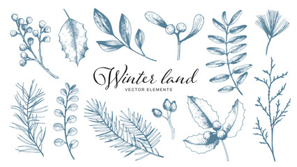 Winter botanical elements set with hand-drawn branches, leaves, and berries. Vintage-style vector illustration. Winter holiday design for greeting cards, invitations, and posters.