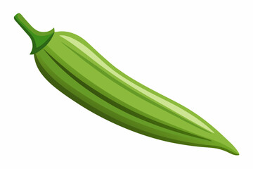 cucumber vegetable organic icon isolated