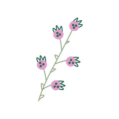 Field flower. Delicate floral plant, blooming branch. Spring blossom, gentle wildflower stem with leaf.