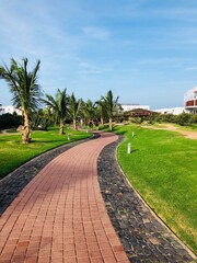 path in the park