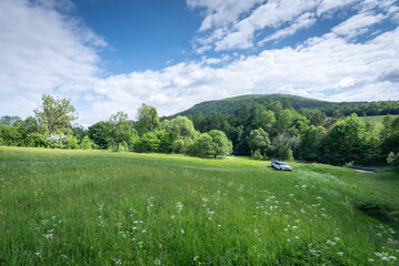 Polana górska w Beskidzie Niskim w słoneczny dzień © TM 360